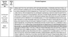 Figure imgf000025_0001