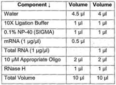 Figure imgf000038_0001