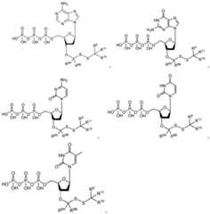 Figure BDA0003670511740000701