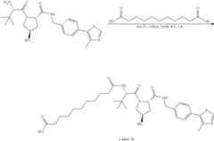 Figure US11969472-20240430-C00141