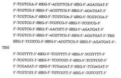 Figure 112009023577906-pct00124