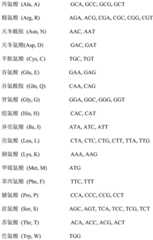 Figure BDA0002425237920000101