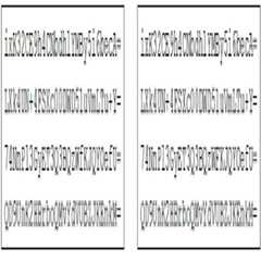 Figure 112006064368995-pat00053