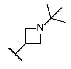 Figure imgf000073_0002