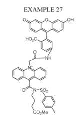 Figure imgf000080_0001