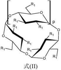 Figure GDA0003217891150000051