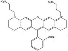 Figure imgf000010_0001