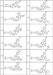 Figure JPOXMLDOC01-appb-T000117