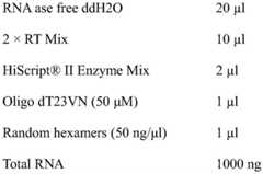 Figure BDA0002375947280000071