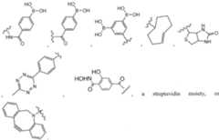 Figure imgf000180_0002
