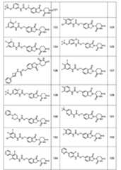 Figure 2024504932000107