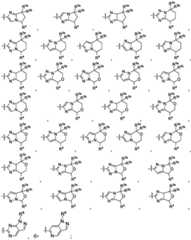 Figure FDA0002731674960000031