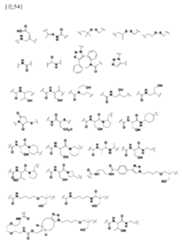 Figure 106103567-A0304-12-0033-57