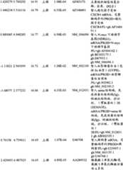 Figure BPA00001280678301201