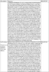 Figure imgf000144_0001