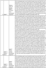 Figure imgf000096_0001