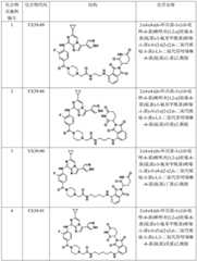 Figure BDA0002964098100002561