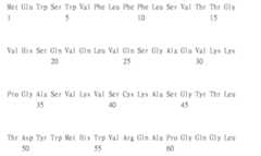 Figure 108123466-A0305-02-0527-466