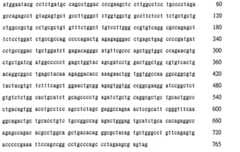 Figure 106137461-A0202-12-0235-68