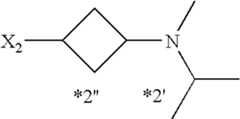 Figure US07521457-20090421-C00529