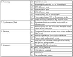 Figure imgf000049_0001