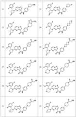 Figure PCTCN2021093930-appb-100014