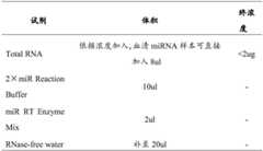 Figure BDA0003950139410000091