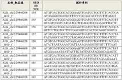 Figure GDA0003420037120000531