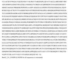 Figure imgf000083_0003