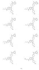 Figure imgf000097_0001