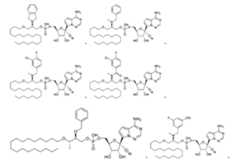 Figure 110138082-A0305-02-0299-11