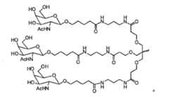 Figure 105140410-A0305-02-0024-4