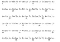 Figure 109130857-A0202-12-0558-980