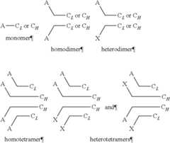 Figure US10087227-20181002-C00001