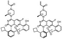 Figure BDA0002861043520000823