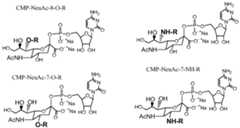 Figure imgf000119_0003
