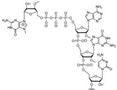 Figure imgf000138_0001