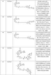 Figure BDA0002964098100002731