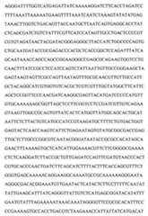 Figure 104109152-A0202-12-0103-44