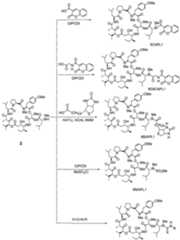 Figure imgf000065_0001