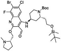 Figure BDA0003993773060002702