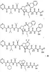 Figure BDA00002761909301571