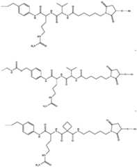 Figure imgf000313_0002