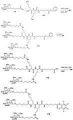 Figure BDA0003357312860006571