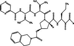 Figure A20048003994700411