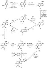 Figure imgf000076_0001