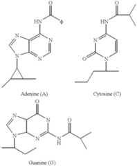 Figure US06379895-20020430-C00025