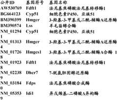 Figure BDA0000057170160002202