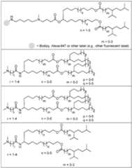 Figure imgf000117_0003