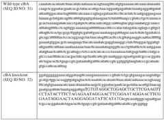 Figure imgf000263_0001